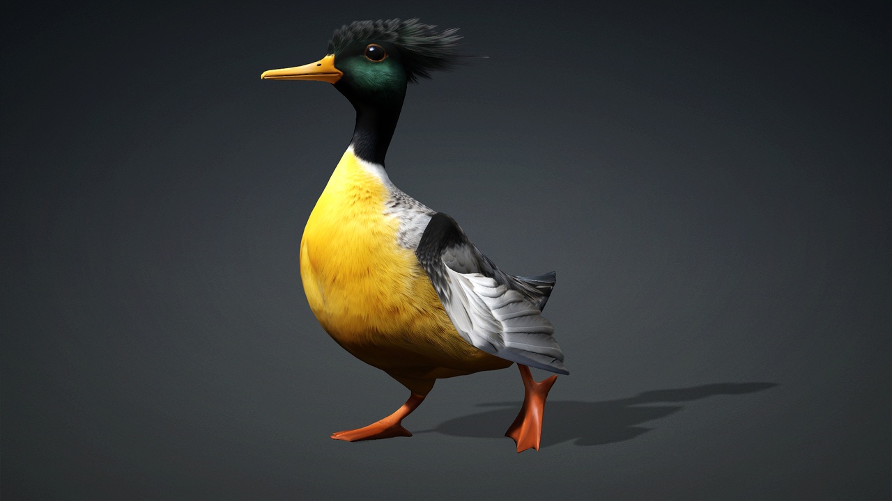 Canard éclaireur d'Eragonnes