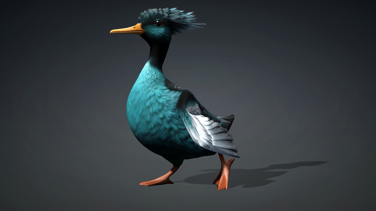 Canard Runique posé sur un rocher