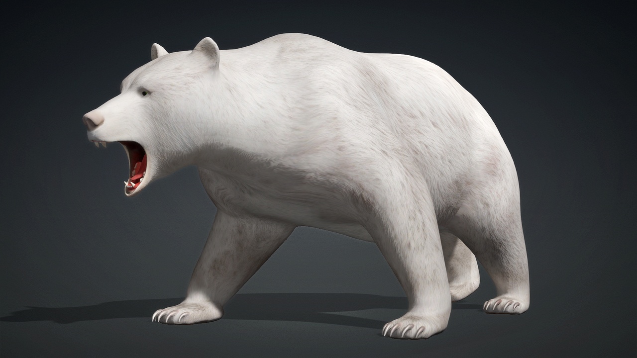 Ours de Brume marchant dans une forêt