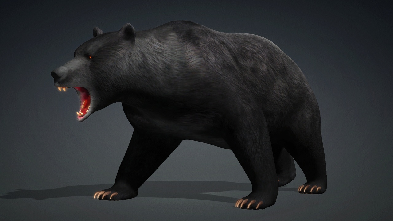 Ours Lithique observant un ravin